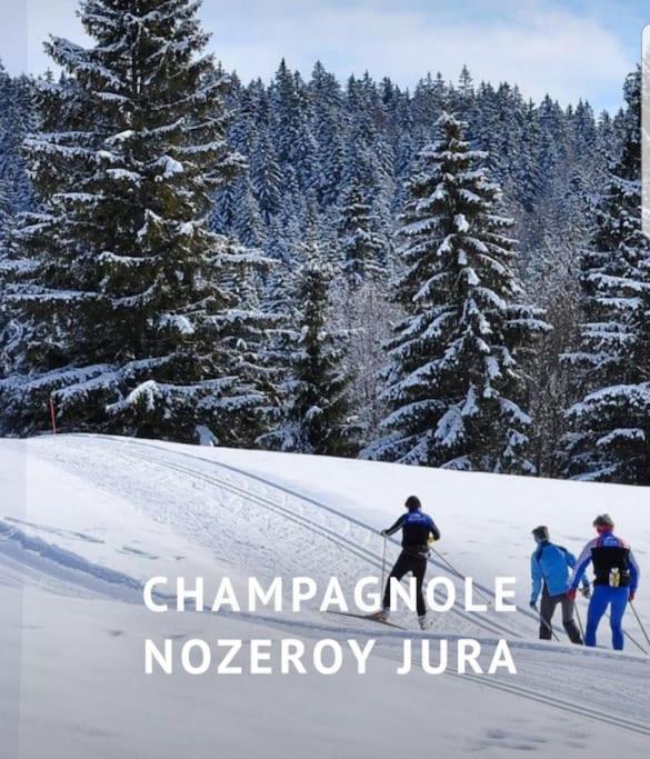 Gite Jura Mina Chalet Au Milieu De La Nature Villa Ney ภายนอก รูปภาพ