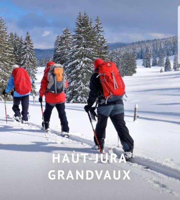 Gite Jura Mina Chalet Au Milieu De La Nature Villa Ney ภายนอก รูปภาพ