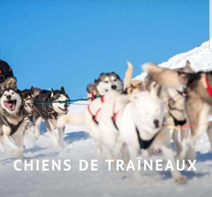 Gite Jura Mina Chalet Au Milieu De La Nature Villa Ney ภายนอก รูปภาพ